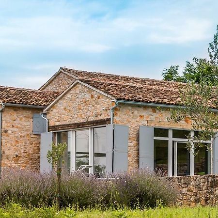 Tenuta Paljari Vižinada Exterior foto
