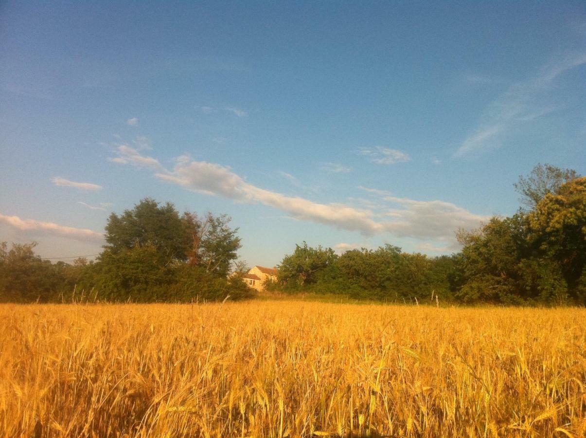 Tenuta Paljari Vižinada Exterior foto